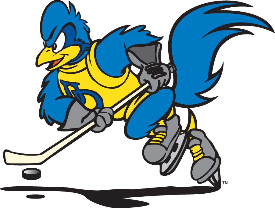 Delaware Blue Hens 1999-2009 Mascot Logo v13 t shirts iron on transfers